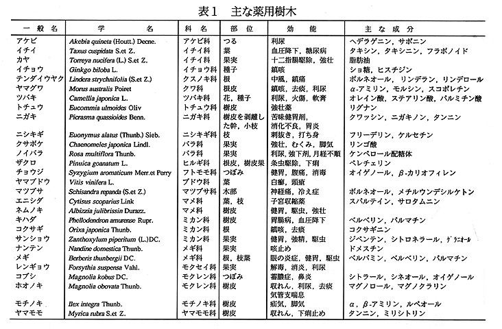 木の一覧